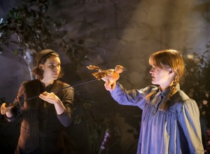 den-hemliga-tradgarden-for-8-11-ar